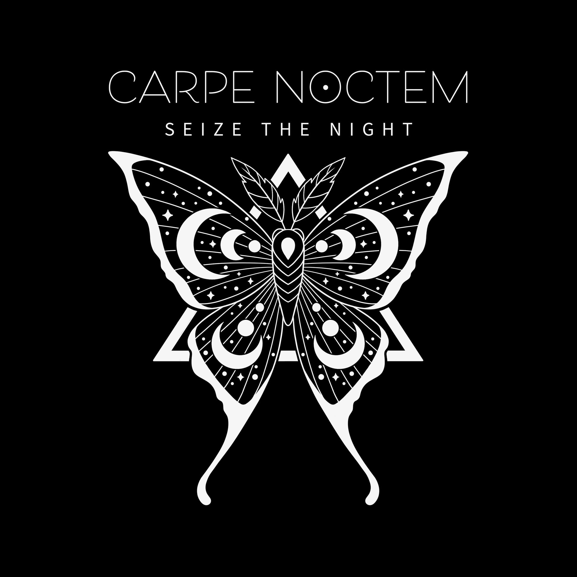 Classic Cotton T-shirt_TeeTurtle Carpe Noctem black t-shirt featuring an illustration of a detailed moth with celestial patterns.