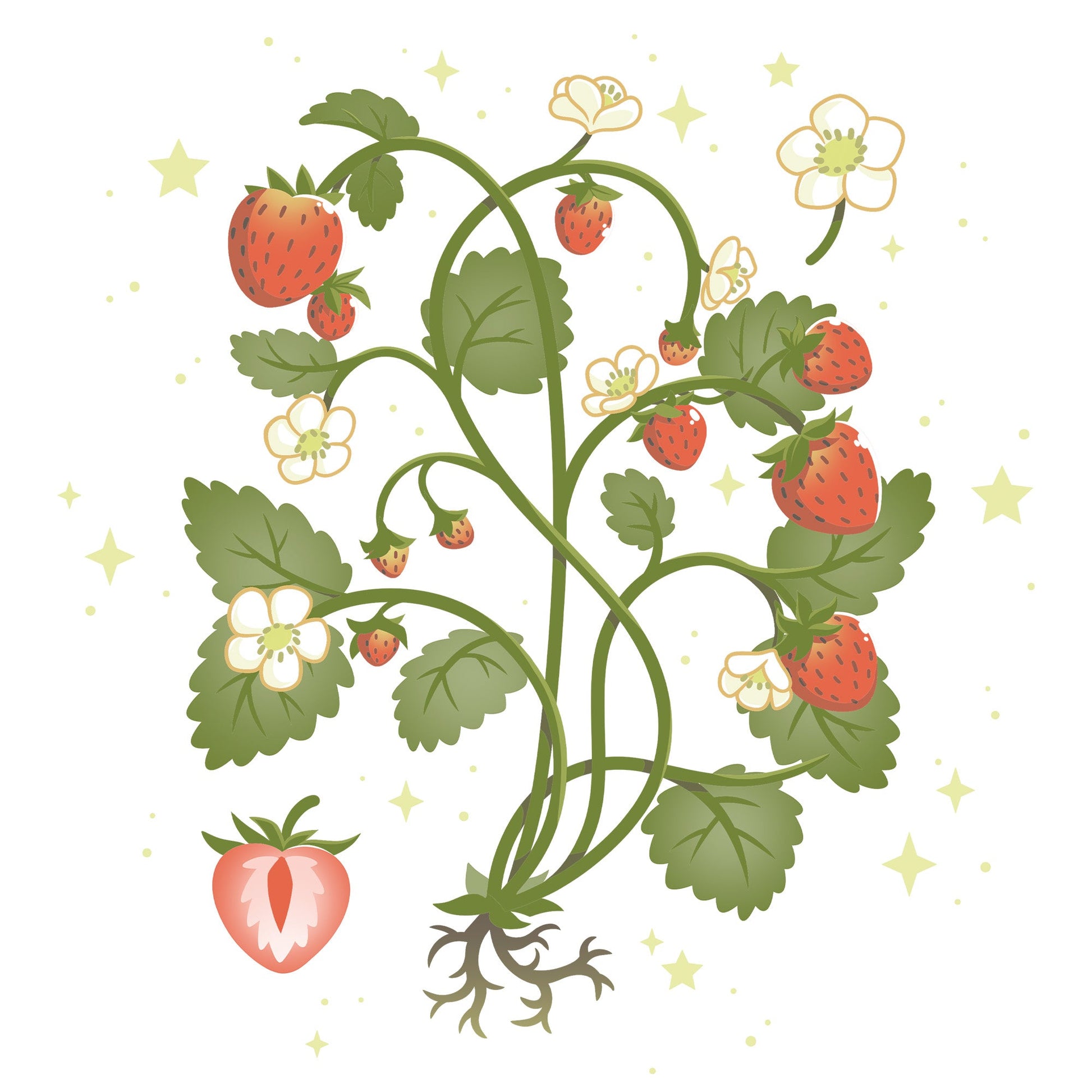 Classic Cotton T-shirt_TeeTurtle Strawberry Harvest while t-shirt featuring a strawberry plant.