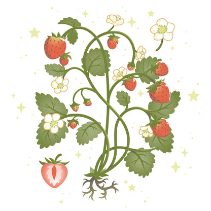 Classic Cotton T-shirt_TeeTurtle Strawberry Harvest while t-shirt featuring a strawberry plant.