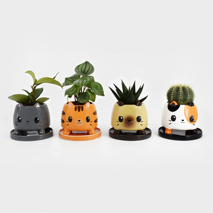 Kawaii TeeTurtle hand painted ceramic Cat Planters for home decor.