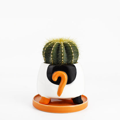 A TeeTurtle Cat Planter, hand painted ceramic planter with a cactus, adding feline flair.