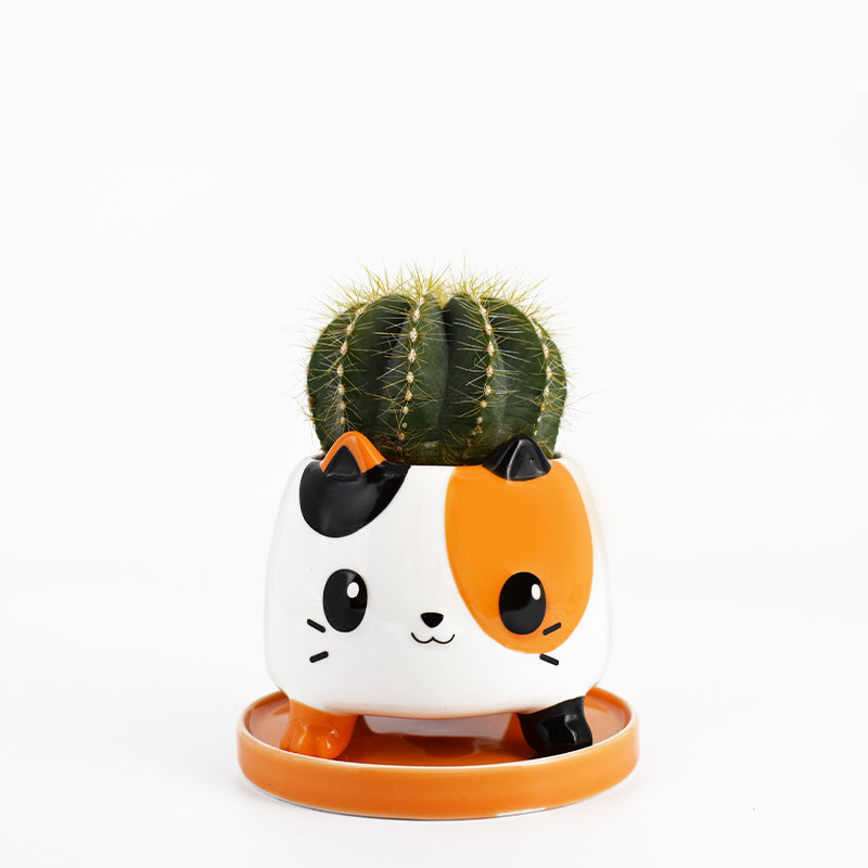 A TeeTurtle Cat Planter with a cactus.