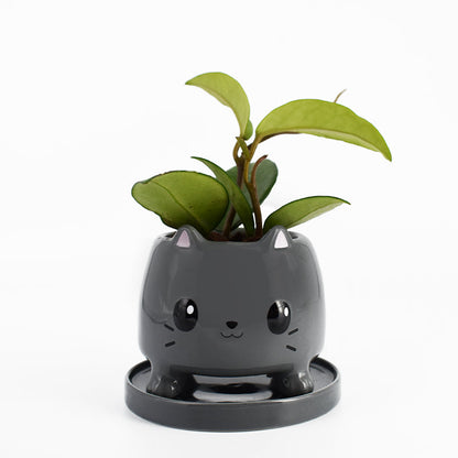 A Cat Planter by TeeTurtle, featuring a plant.