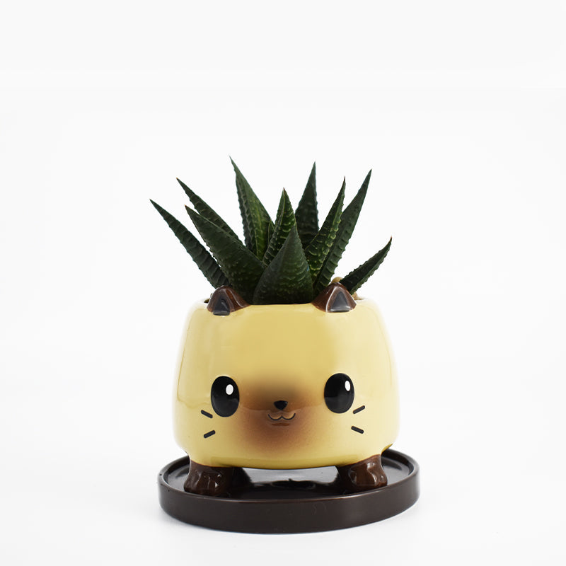 A yellow TeeTurtle ceramic Cat Planter, perfect as feline decor or home accent.