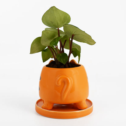 A Cat Planter by TeeTurtle, hand-painted ceramic planter for home decor with a small orange plant.