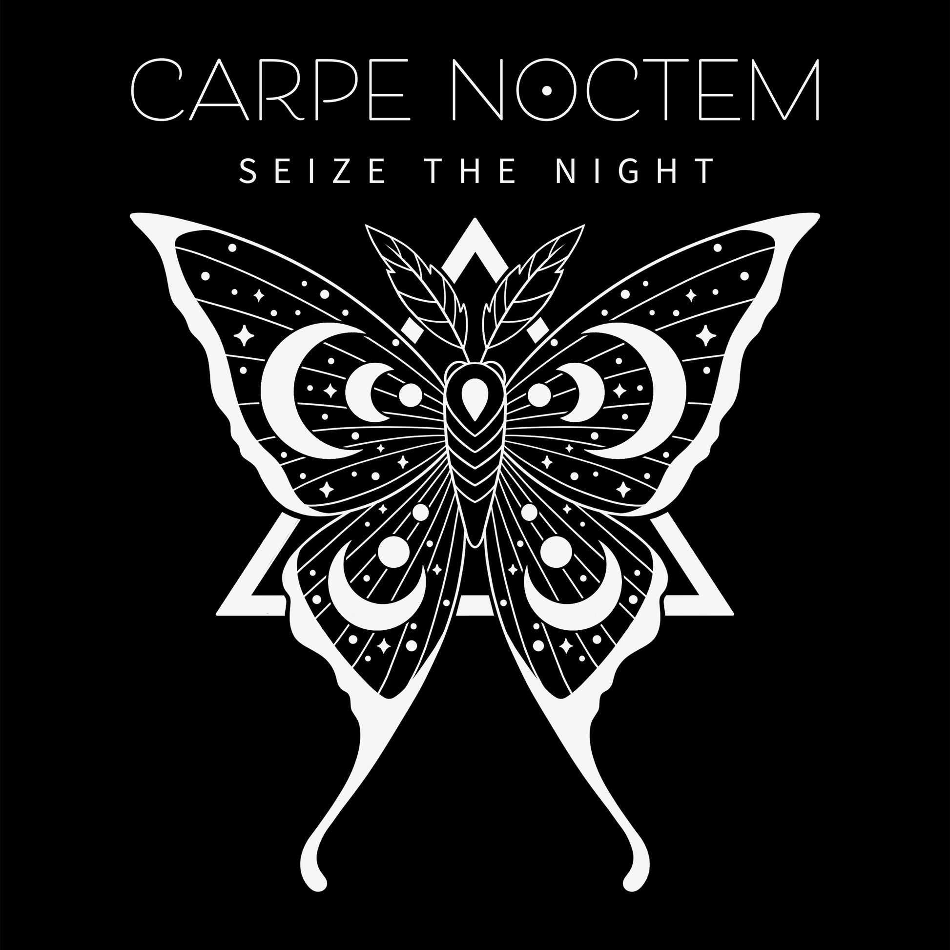 Premium Cotton T-shirt_TeeTurtle Carpe Noctem black t-shirt featuring an illustration of a detailed moth with celestial patterns.