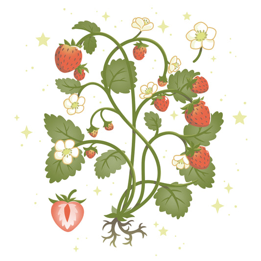 Premium Cotton T-shirt_TeeTurtle Strawberry Harvest while t-shirt featuring a strawberry plant.
